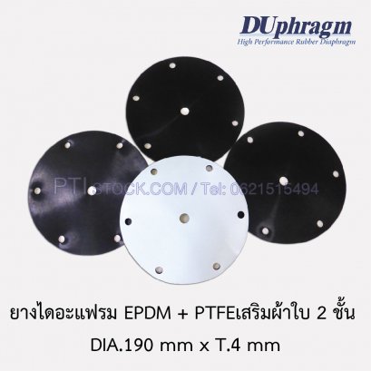 EPDM diaphragm rubber + PTFE  DIA. 190 mm