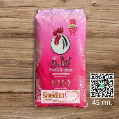 เสาไห้ ก.ไก่ (45กก.)