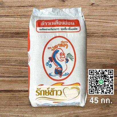 ปลาม้า 45 กก.