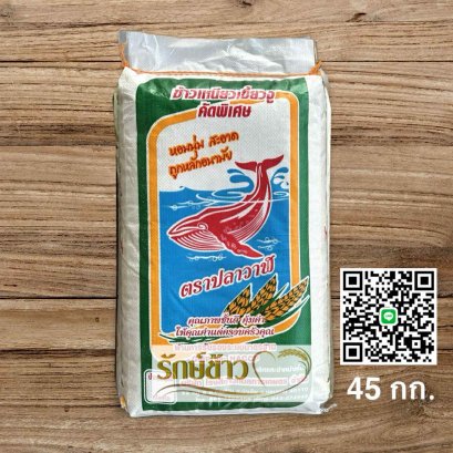 ปลาวาฬ -กลางปี 45 กก.