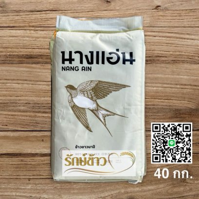 นางแอ่นขาว (40กก.)