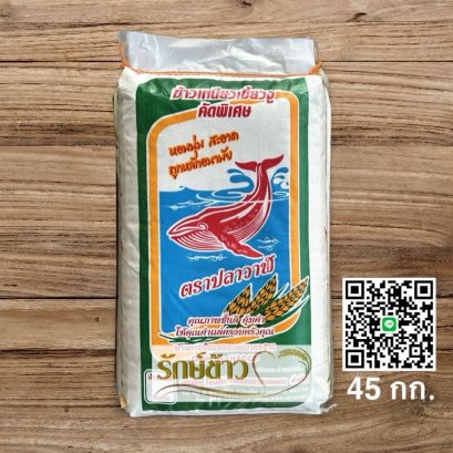 ปลาวาฬใหม่ 45 กก.