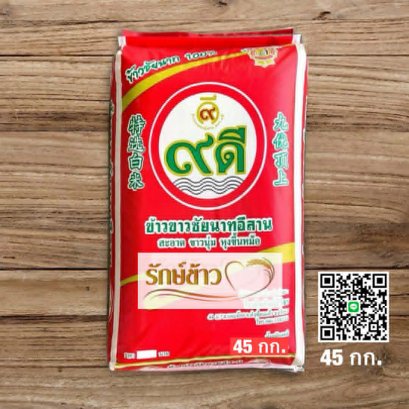 ชัยนาท ๙ดี