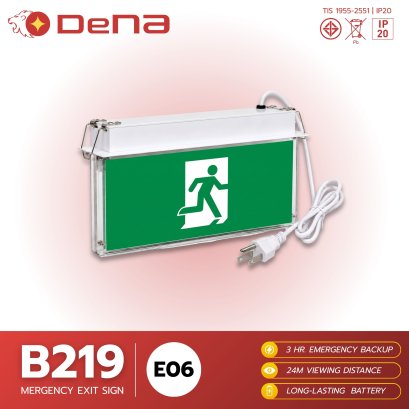 DeNA B219-E06