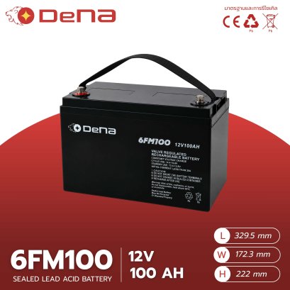 DeNA 6FM100