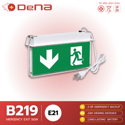 DeNA B219-E21