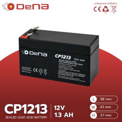 DeNA CP1213