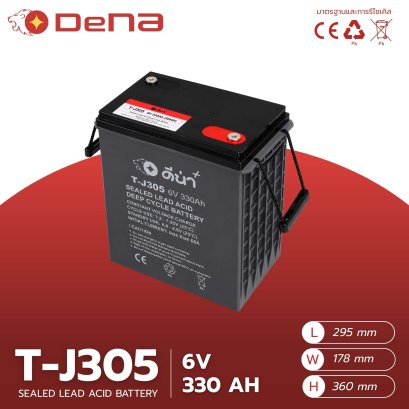 DeNA T-J305