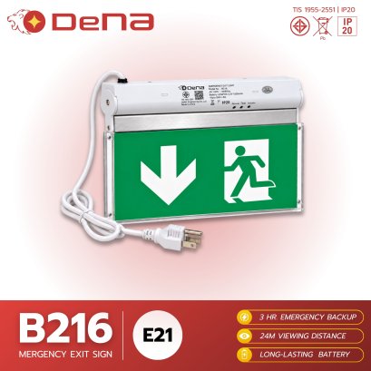 DeNA B216-E21