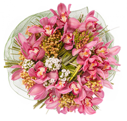 Autumn Shades Perfect Gift