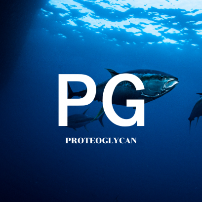 PG (Proteoglycan)