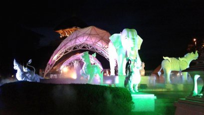 Night Safari &amp; Tiger Kingdom