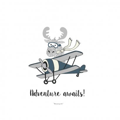 Adventure Awaits Poster