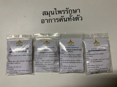 คันทั้งตัว