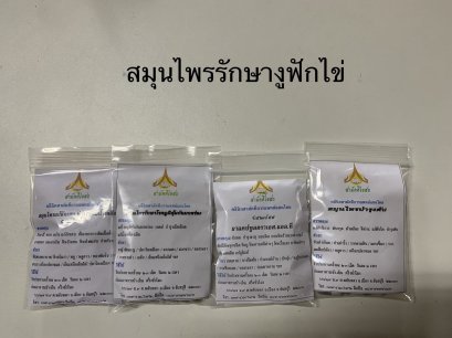 งูฟักไข่