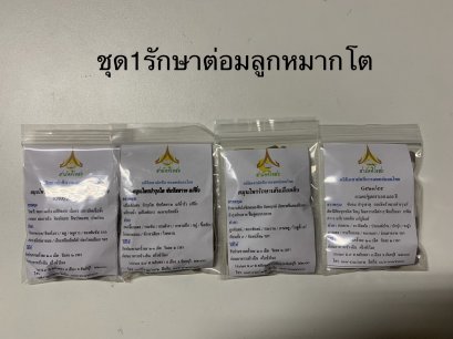 ต่อมลูกหมากโต