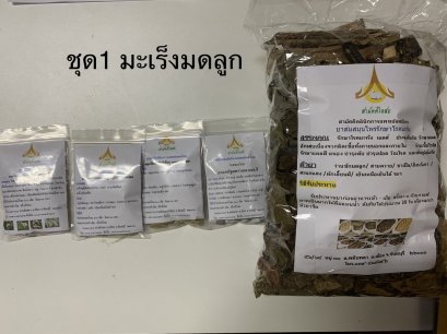 สมุนไพรรักษามะเร็งมดลูก