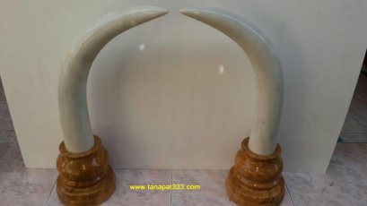 งาช้างหินอ่อน