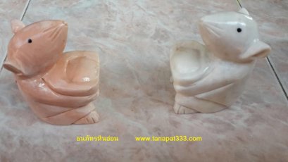 หนูหินอ่อน