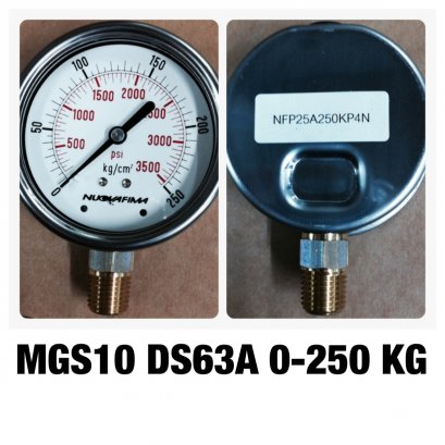 เกจ์วัดความดัน 2.5 นิ้ว 0-250 kg/cm2 (3625PSI) ออกล่าง เกลียว 1/4&quot; NPT ทองเหลือง MGS10 DS63A NUOVAFIMA Pressure Gauge Made in ITALY @ ราคา