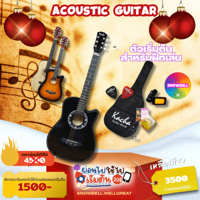 Acoustic Guitar