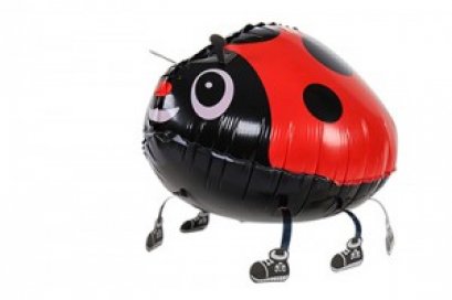 Ladybird
