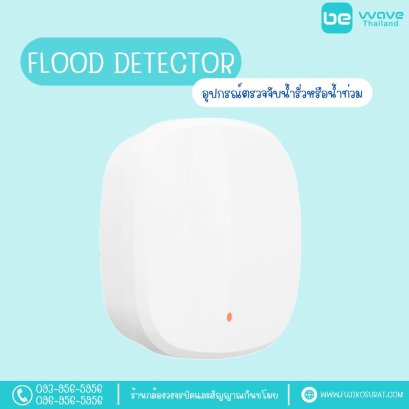 Flood Detector