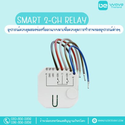 Smart 2-CH Relay