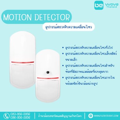 Motion Detector
