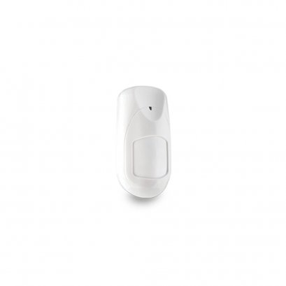 PIR Motion Detector