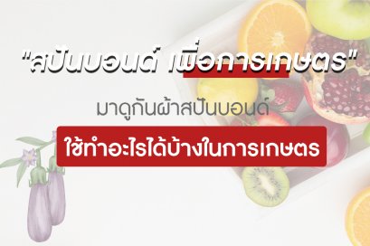 "สปันบอนด์ เพื่อการเกษตร" มาดูกันผ้าสปันบอนด์ ใช้ทำอะไรได้บ้างในการเกษตร