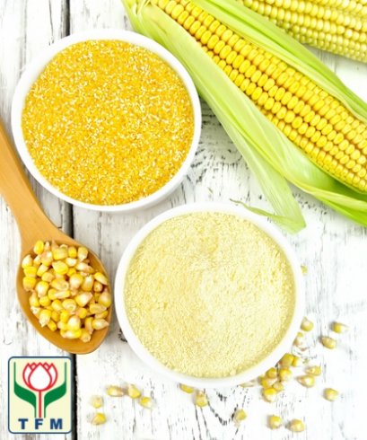 Corn Grits and Corn Flour