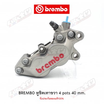 หูชิดเทา/แดงขวา