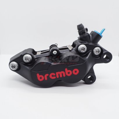 หูชิดดำ/แดงขวา