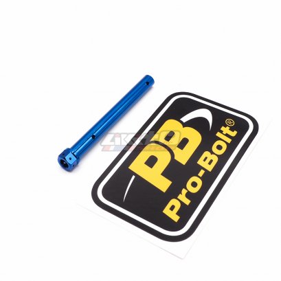 PROBOLT PIN Titanium 2 Pot