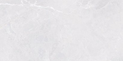 กระเบื้อง WT 30x60เฮ็กเตอร์-เทาอ่อนR/T(PK8)(HYG)PM