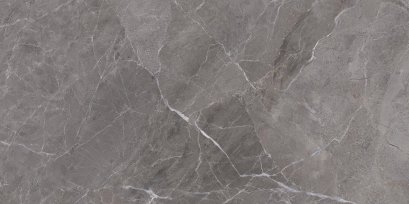 กระเบื้อง WT 30x60เฮ็กเตอร์-เทาเข้มR/T(PK8)(HYG)PM