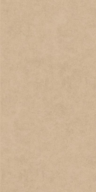 กระเบื้อง FT 30X60 วีลล์ (II) เบจ (HYG) R/T PM