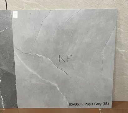 60x60cm. Pupis Grey