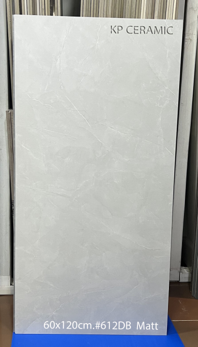 60x120cm. #612DB Matt