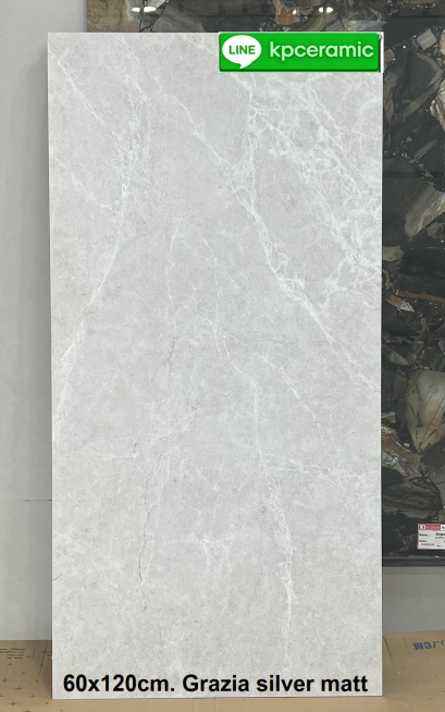 60x120cm. Grazia silver matt  (India)
