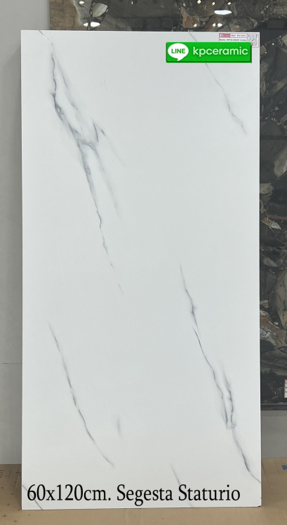 60x120cm. Segesta Staturio  (India)
