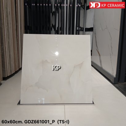 60x60cm. GDZ661001_P  (TS-I)