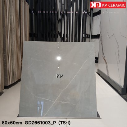 60x60cm. GDZ661003_P  (TS-I)