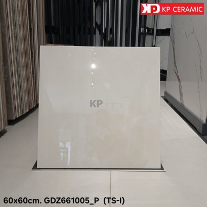 60x60cm. GDZ661005_P  (TS-I)