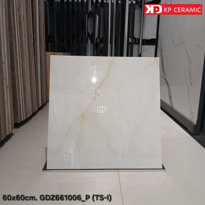 60x60cm. GDZ661006_P  (TS-I)