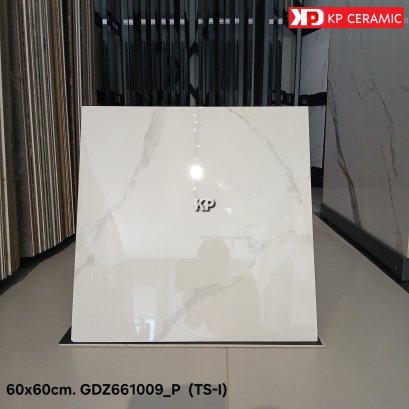 60x60cm. GDZ661009_P  (TS-I)