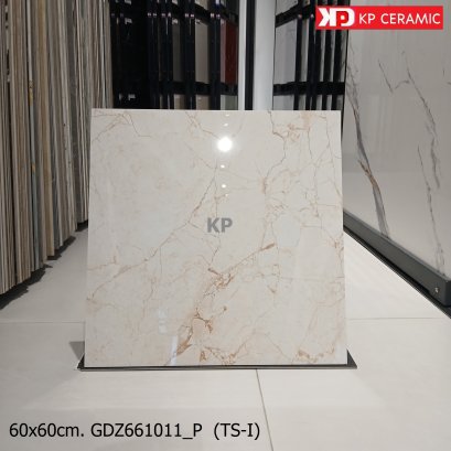 60x60cm. GDZ661011_P  (TS-I)