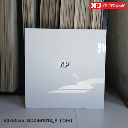 60x60cm. GDZ661013_P  (TS-I)