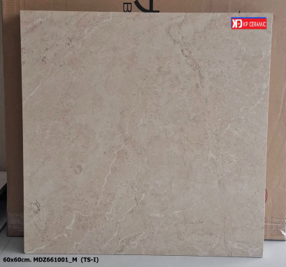 60x60cm. MDZ661001_M  (TS-I)